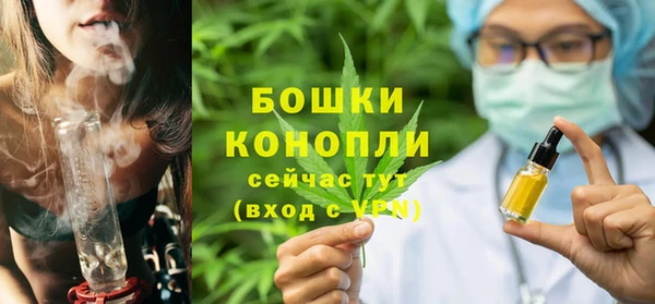 прущие грибы Арсеньев
