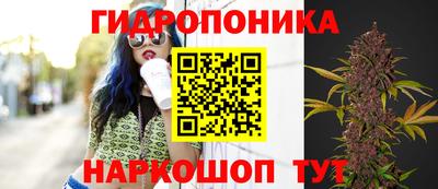 ПСИЛОЦИБИНОВЫЕ ГРИБЫ Балашиха