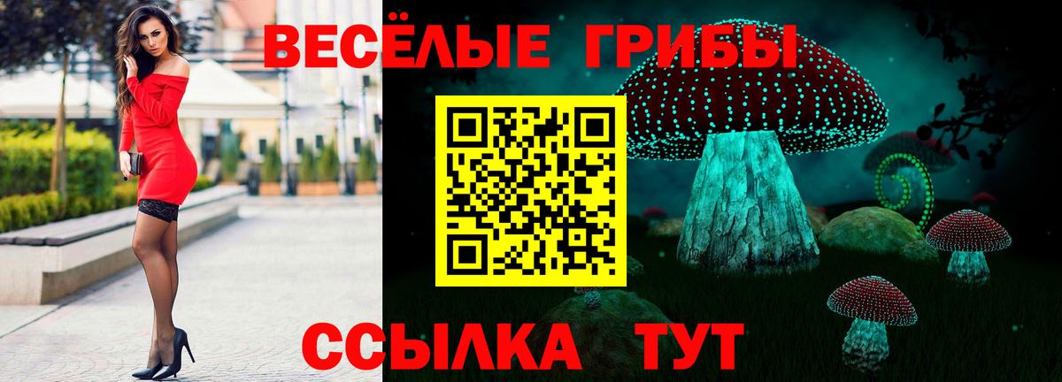 Галлюциногенные грибы Cubensis Каспийск