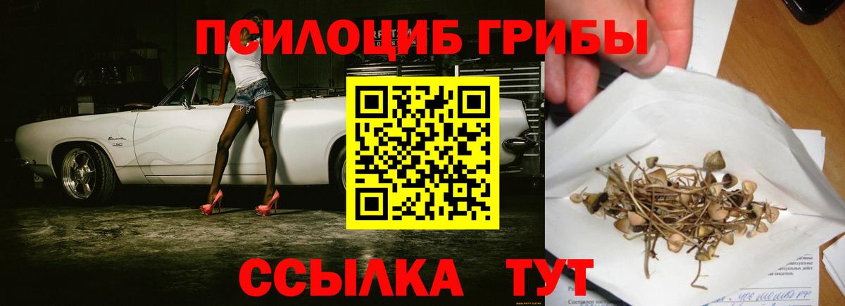 Галлюциногенные грибы Magic Shrooms  Вход с VPN  Каспийск 