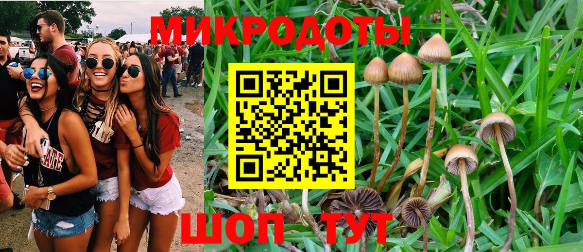 закладки  Каспийск  Галлюциногенные грибы Magic Shrooms 